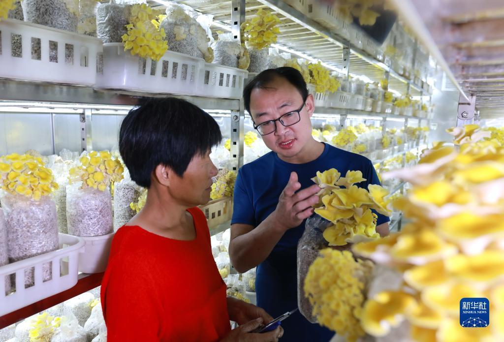 奥博赌址官方网站